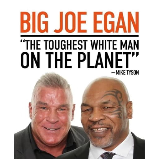 Joe Egan & Mike Tyson Smart Web Design Logo