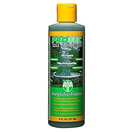 Best  Swimming Pool Stain Removers