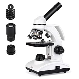 Best  Lab Compound Binocular Microscopes