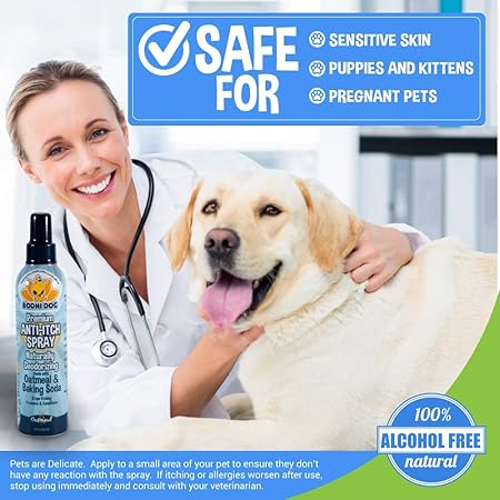 all natural anti itch for dogs
