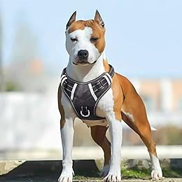 Best  Dog Vest Harnesses