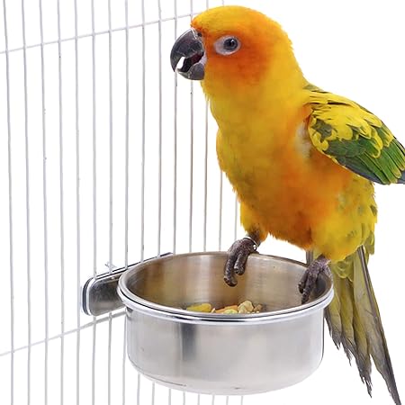 2 10oz Cups BIRD PARROT CUP FEEDER & WATER BOWL FOR SMALL PETS~LOCKS IN PLACE 