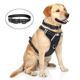 Best  Dog Halter Harnesses