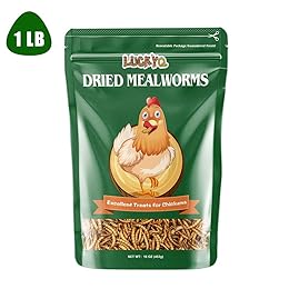 Best  Live Meal Worms Bird Food