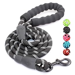Best  Standard Dog Leashes